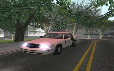 Border Patrol Crown Vic