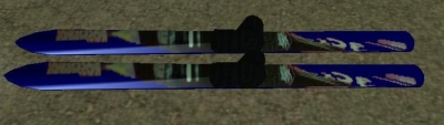 Ski