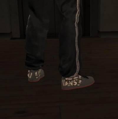 Vans shoes