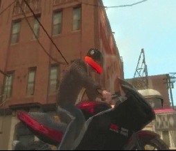 GTA IV Casco
