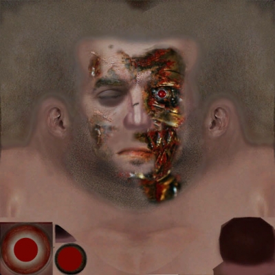 Terminator Skin