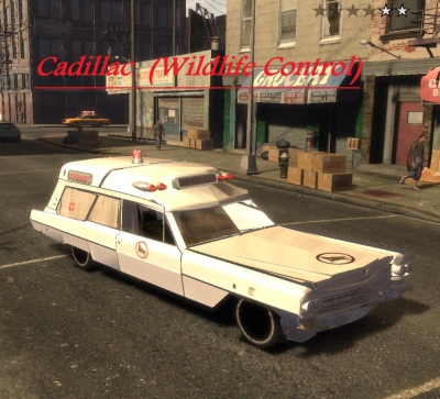 Cadillac Wildlife Control