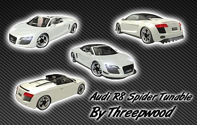 Audi R8 Spyder & R8 Custom v2
