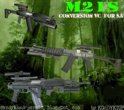 M21S ver SA