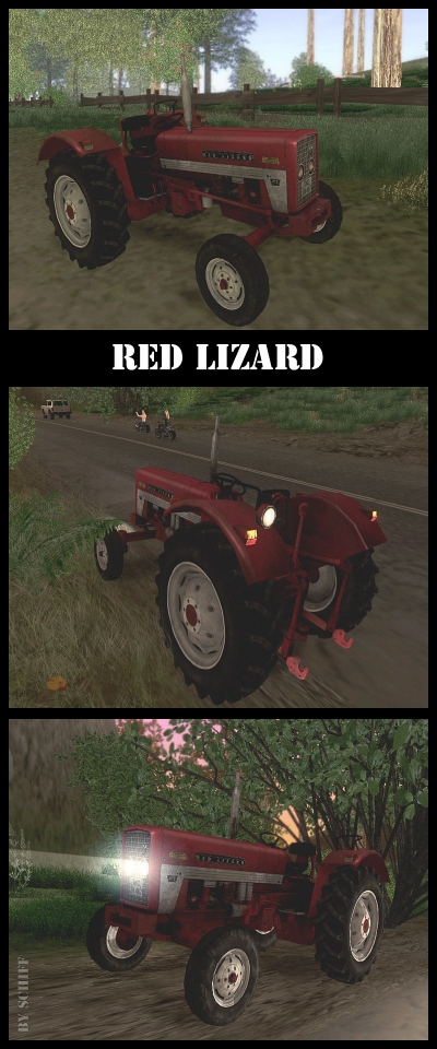 Red Lizard