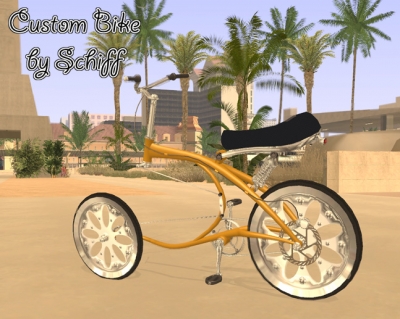 Custom Bike