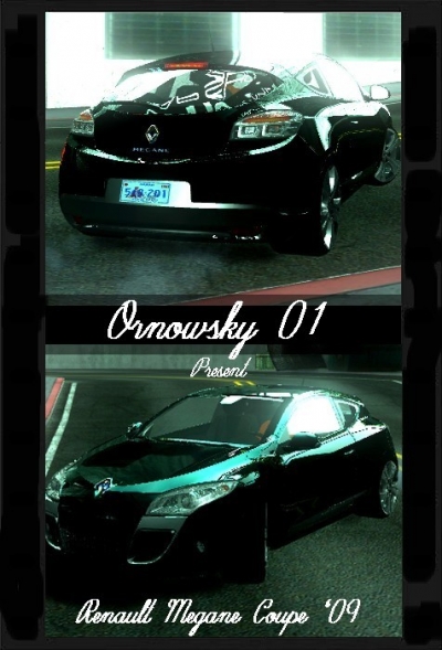 2009 Renault Megane Coupe