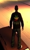 Rasta Sweater