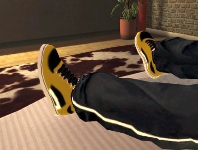 Etnies Shoes
