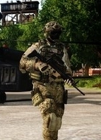 Modern Warfare 3 Frost