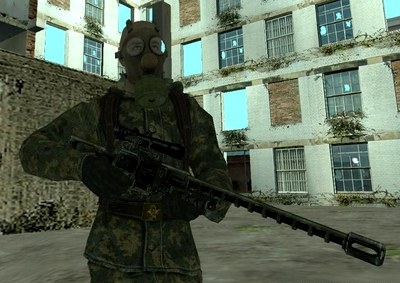 Fallout Rifles Pack