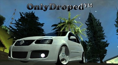 VW Golf Mk5 - ODT