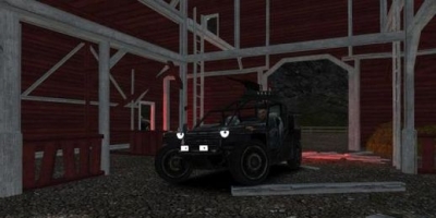 VDV Buggy