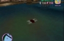 FlipFlop Wasser