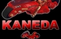 Kaneda skin