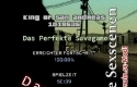 Perfect Savegame