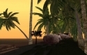 Palm Island