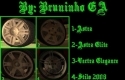 Wheel Pack by Bruno