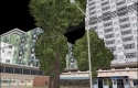 GTA3 Vegetation for Vice City