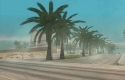 Realistic Palm Trees
