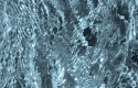 Cool Water