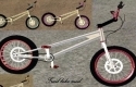 Trail Bike Chrome