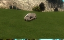 Sinclair C5 Kart