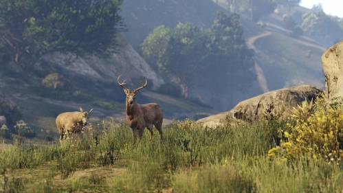 gta_v next-gen-screenshots 2776