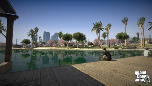 gta_v screenshots 2098